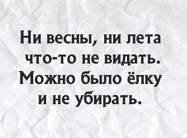 Ни весны, ни лета что-то не видать. Можно было ёлку и не убирать.