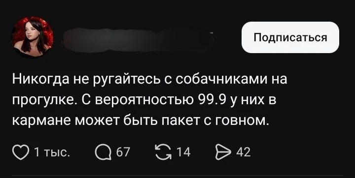 Никогда не ругайтесь с собачками на прогулке. С вероятностью 99.9 у них в кармане может быть пакет с говном.