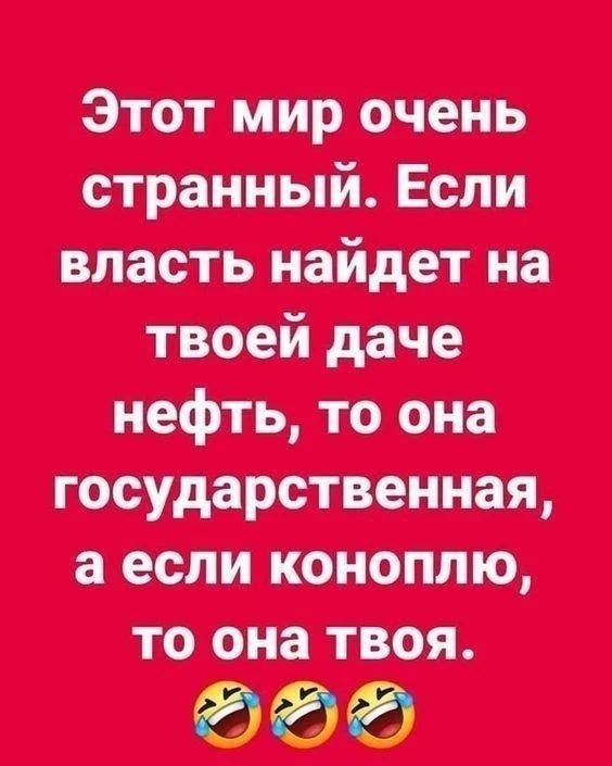 Этот мир очень странный. Если власть найдет на твоей даче нефть, то она государственная, а если коноплю, то она твоя.