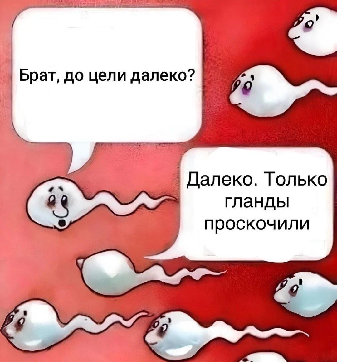 Брат, до цели далеко? Далеко. Только гланды просочили