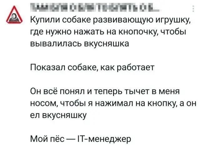 Купили собаке развивающую игрушку, где нужно нажать на кнопочку, чтобы вывалилась вкусняшка
Показал собаке, как работает
Он всё понял и теперь тычет в меня носом, чтобы я нажимал на кнопку, а он ел вкусняшку
Мой пёс — IT-менеджер
