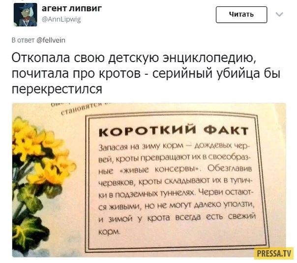 агент липвиг @AnnLipwig В ответ @fellvein Читать Откопала свою детскую энциклопедию, почитала про кротов - серийный убийца бы перекрестился КОРОТКИЙ ФАКТ Запасая на зиму корм — дождевых червей, кроты превращают их в своеобразные «живые консервы». Обезглавив червяков, кроты складывают их в тупички в подземных туннелях. Черви остаются живыми, но не