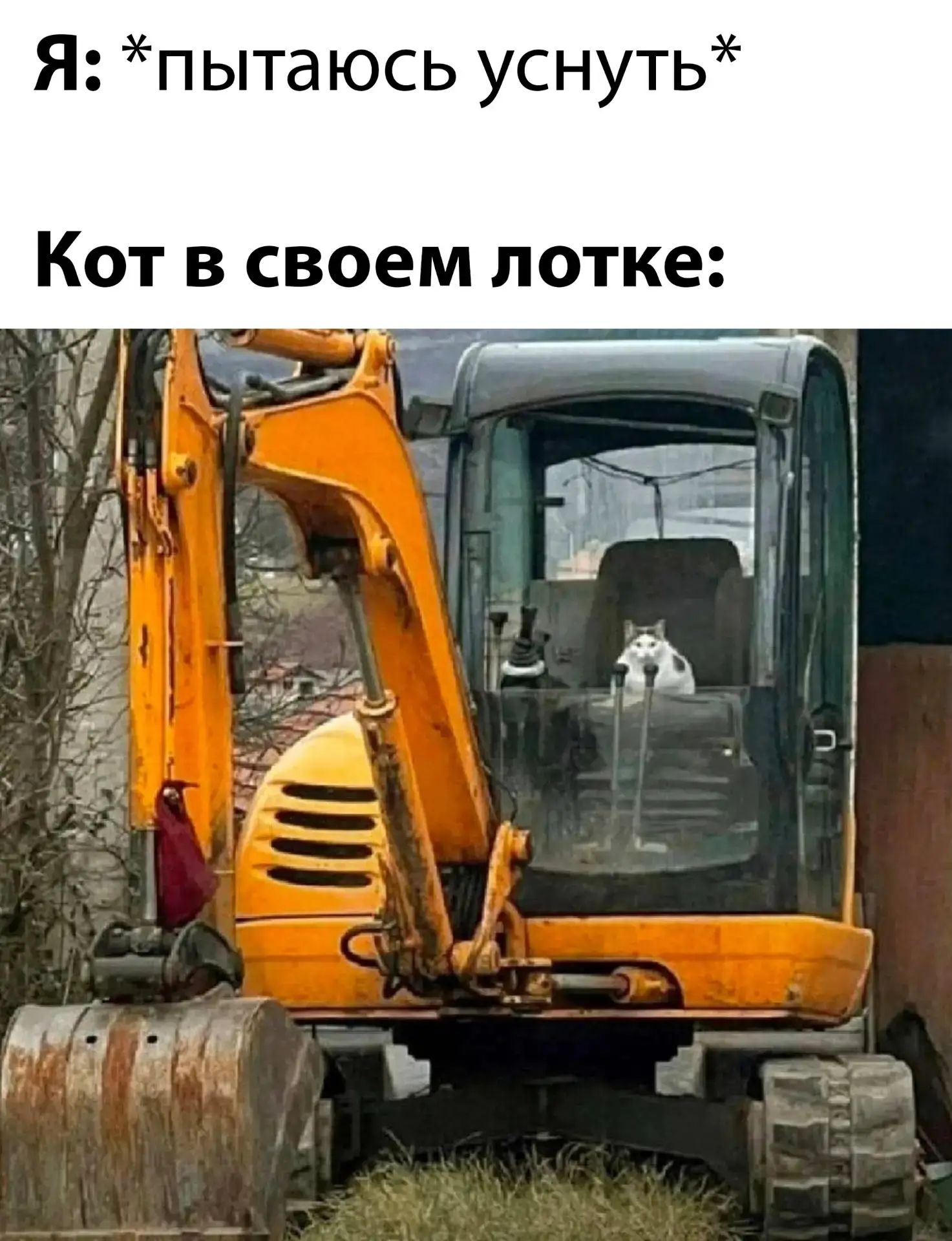 Я: *пытаюсь уснуть* Кот в своем лотке: