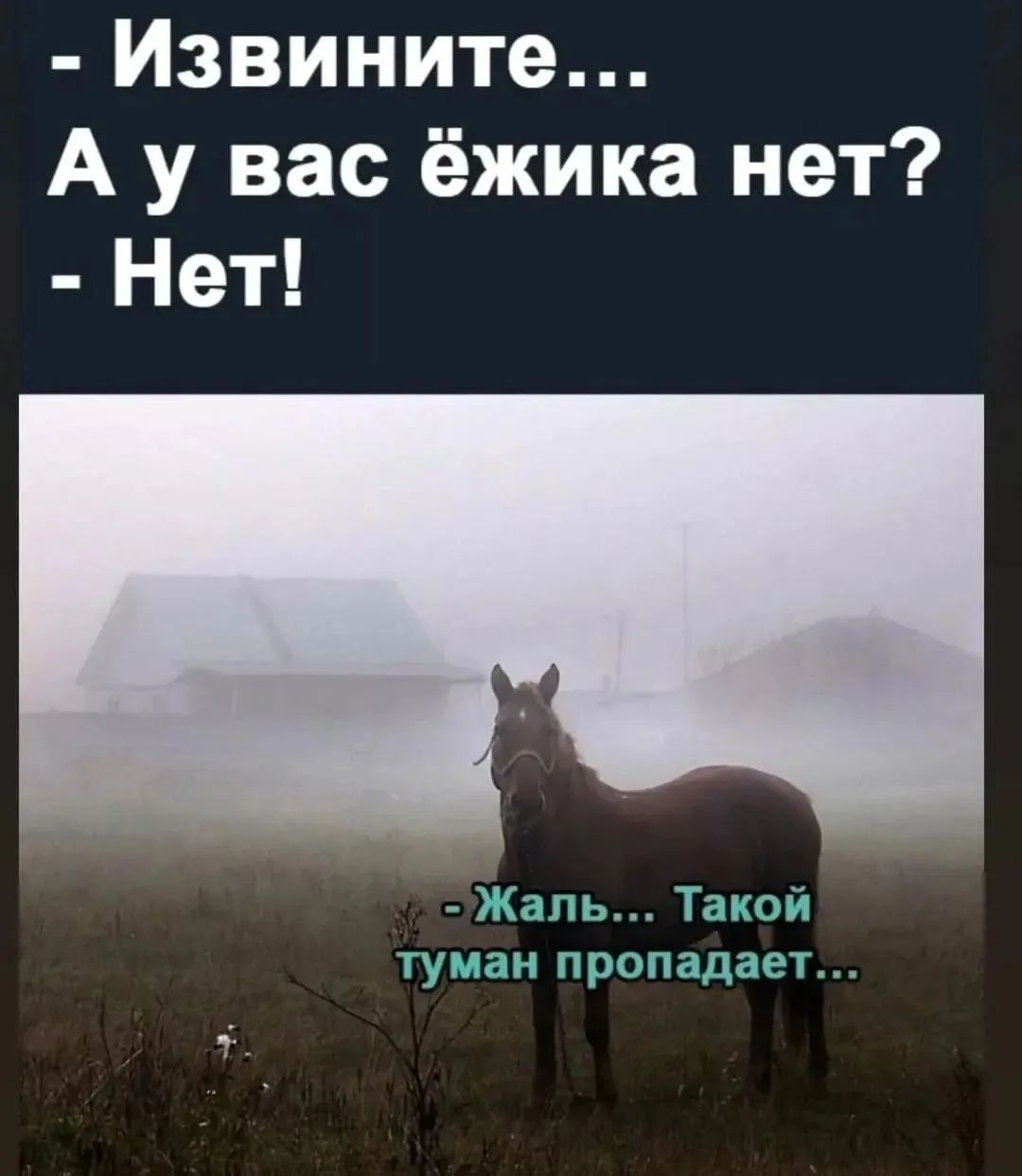Извините... А у вас ёжика нет? - Нет! - Жаль... Такой туман пропадает...