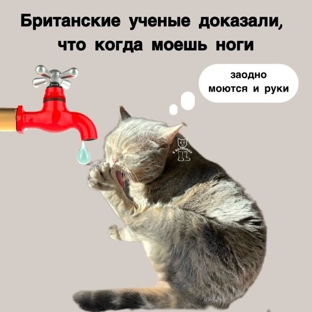 Британские ученые доказали, что когда моешь ноги заодно моются и руки