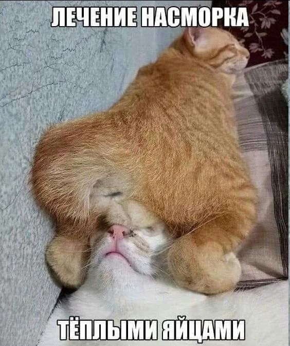 ЛЕЧЕНИЕ НАСМОРКА ТЁПЛЫМИ ЯЙЦАМИ