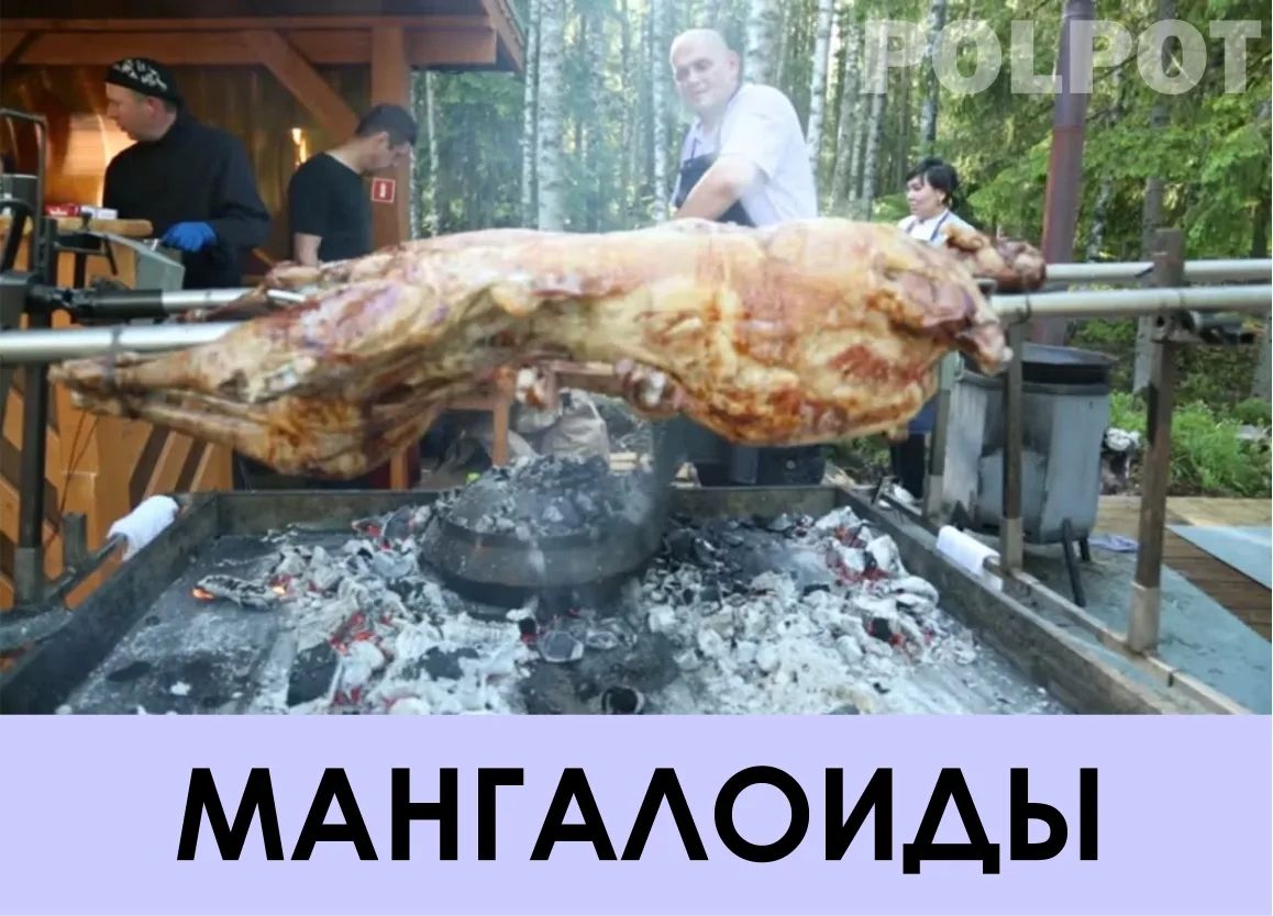МАНГАЛОИДЫ. На изображении видно, как целая туша животного жарится на вертеле над углями. Несколько человек находятся на заднем плане, наблюдая за процессом приготовления.