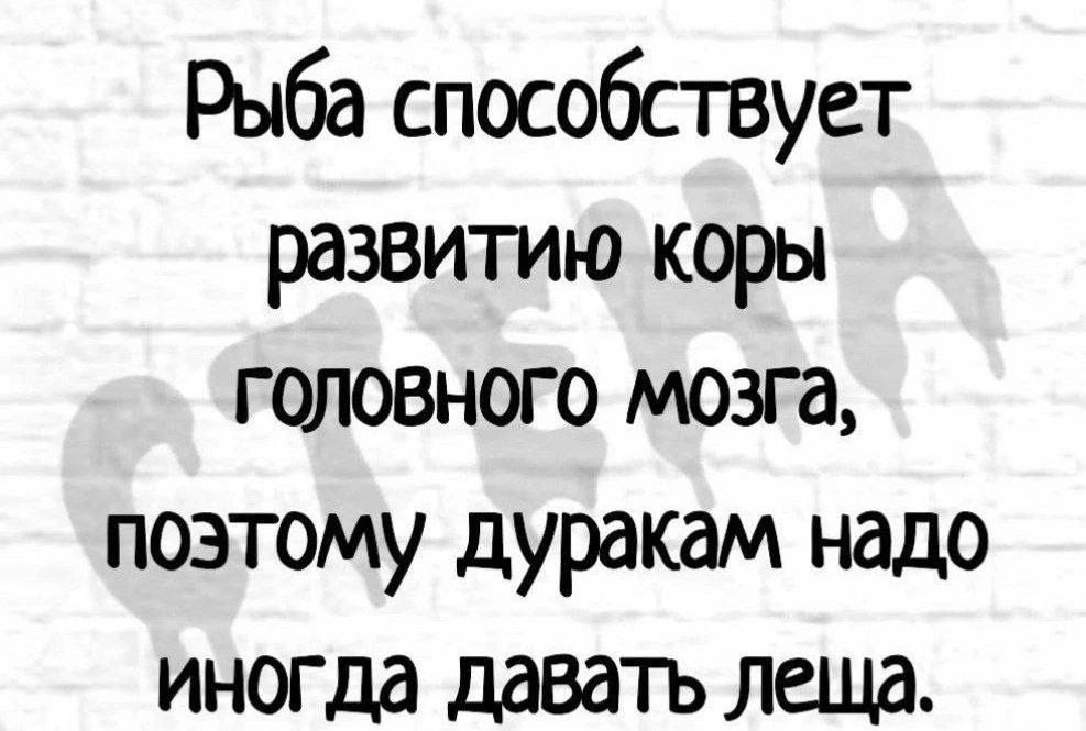 Рыба способствует развитию коры головного мозга, поэтому дуракам надо иногда давать леща.