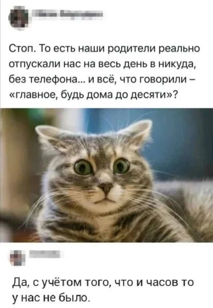 Стоп. То есть наши родители реально отпускали нас на весь день в никуда, без телефона... и всё, что говорили – «главное, будь дома до десяти»? Да, с учётом того, что и часов то у нас не было.