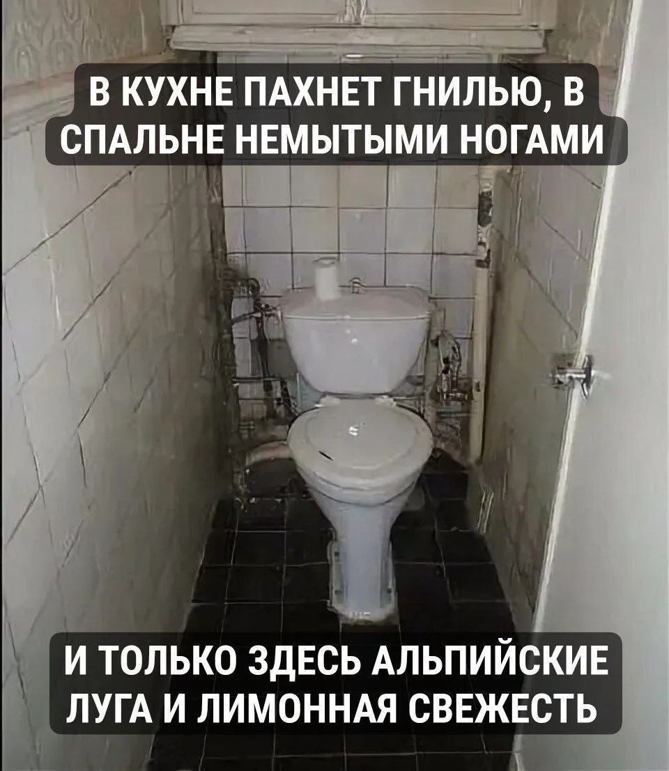В КУХНЕ ПАХНЕТ ГНИЛЬЮ, В СПАЛЬНЕ НЕМЫТЫМИ НОГАМИ И ТОЛЬКО ЗДЕСЬ АЛЬПИЙСКИЕ ЛУГА И ЛИМОННАЯ СВЕЖЕСТЬ