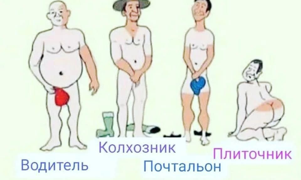 Водитель Колхозник Почтальон Плиточник