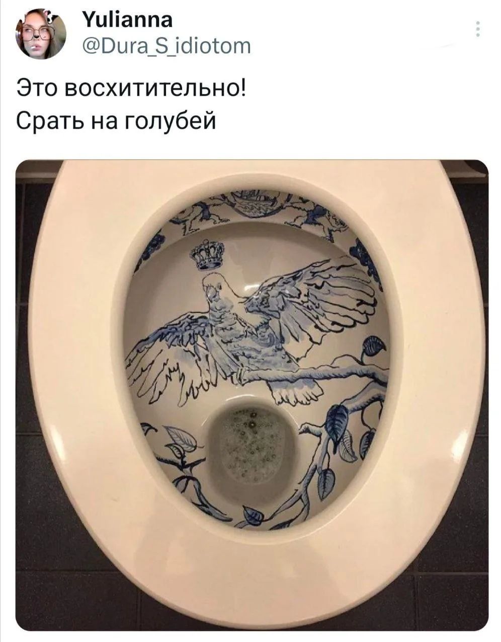 Yulianna @Dura_S_idiotom Это восхитительно! Срать на голубей