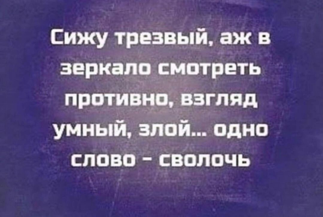 Сижу трезвый, аж в зеркало смотреть противно, взгляд умный, злой... одно слово - сволочь