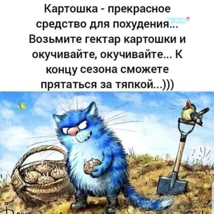 Картошка - прекрасное средство для похудения... Возьмите гектар картошки и окучивайте, окучивайте... К концу сезона сможете прятаться за тяпкой...)))