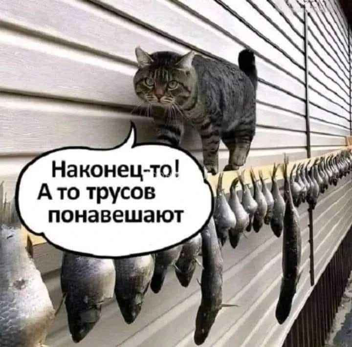 Наконец-то! А то трусов понавешивают