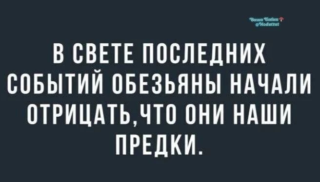 В СВЕТЕ ПОСЛЕДНИХ СОБЫТИЙ ОБЕЗЬЯНЫ НАЧАЛИ ОТРИЦАТЬ, ЧТО ОНИ НАШИ ПРЕДКИ.