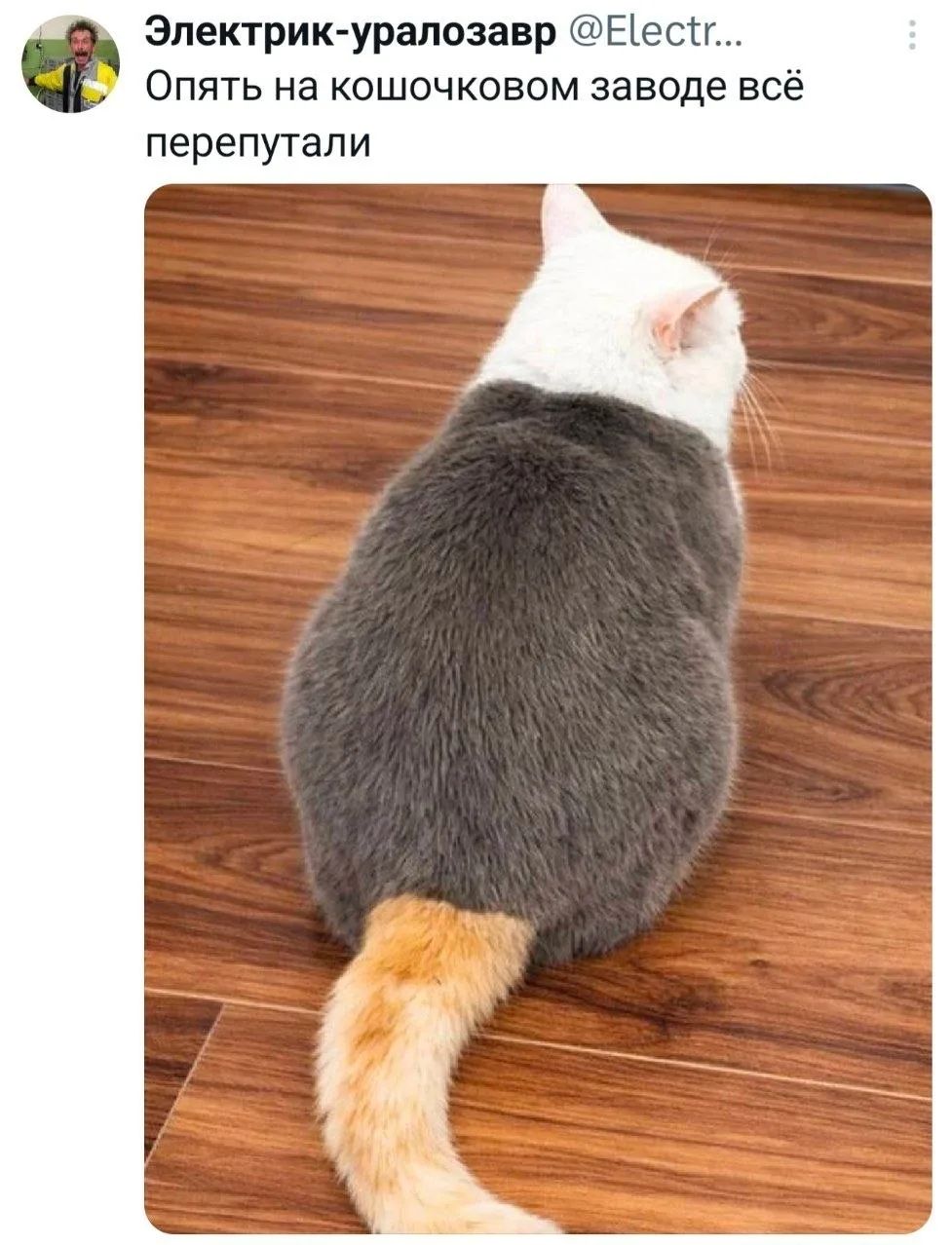 Электрик-уралозавр @Electr... Опять на кошочковом заводе всё перепутали