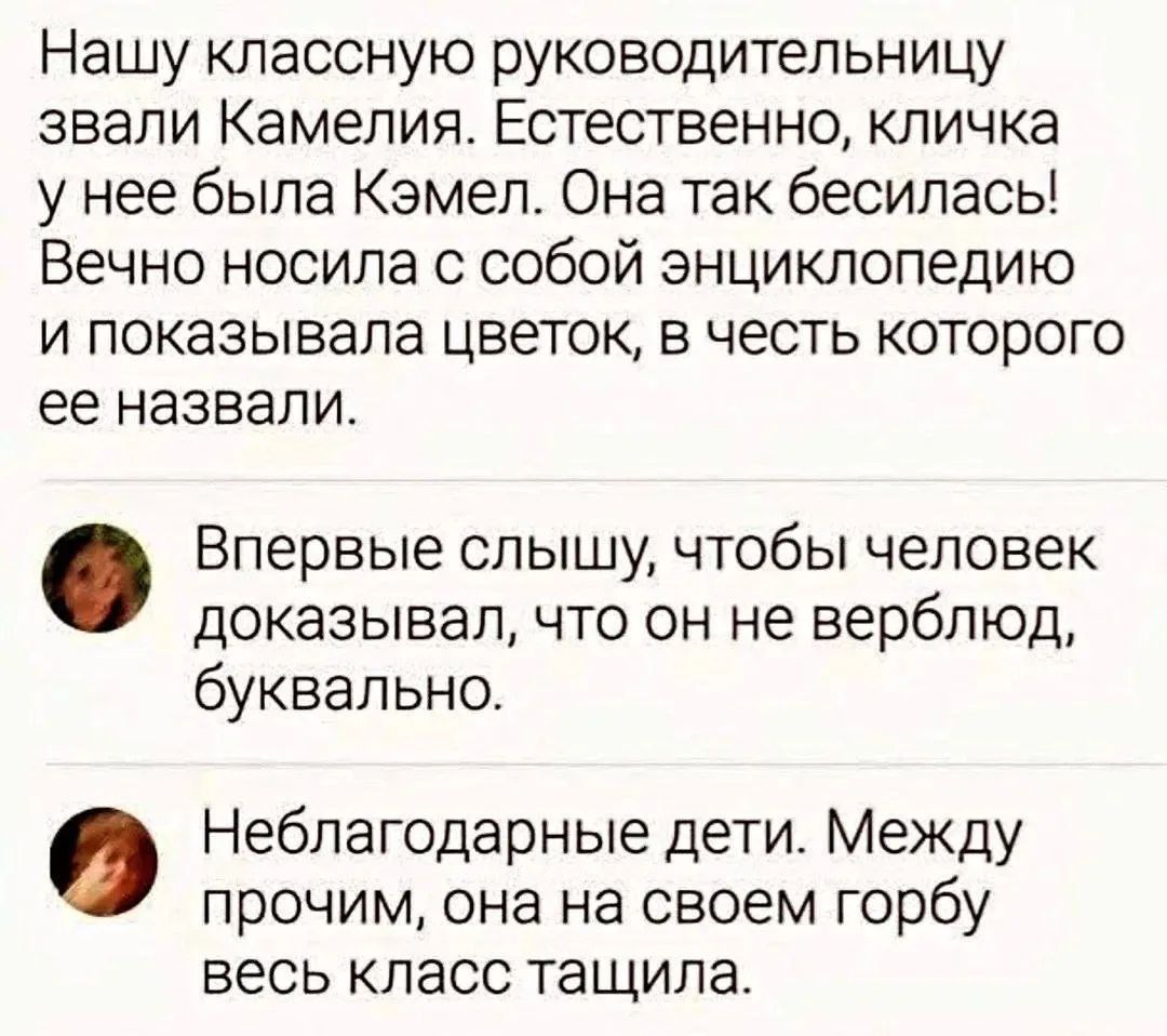 Нашу классную руководительницу звали Камелия. Естественно, кличка у нее была Кэмел. Она так бесилась! Вечно носила с собой энциклопедию и показывала цветок, в честь которого ее назвали. Впервые слышу, чтобы человек доказывал, что он не верблюд, буквально. Неблагодарные дети. Между прочим, она на своем горбу весь класс тащила.