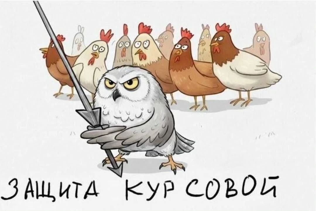 ЗАЩИТА КУР СОВОЙ