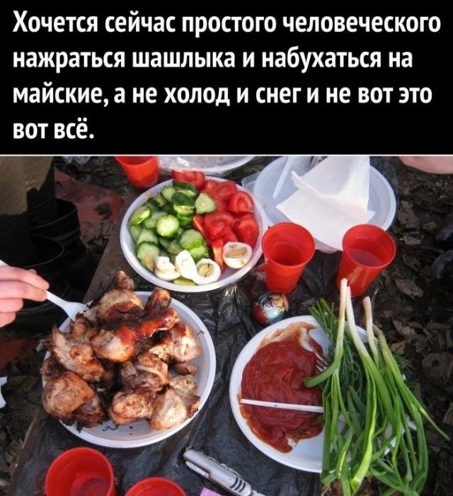 Хочется сейчас простого человеческого нажраться шашлыка и набухаться на майские, а не холод и снег и не вот это вот всё.