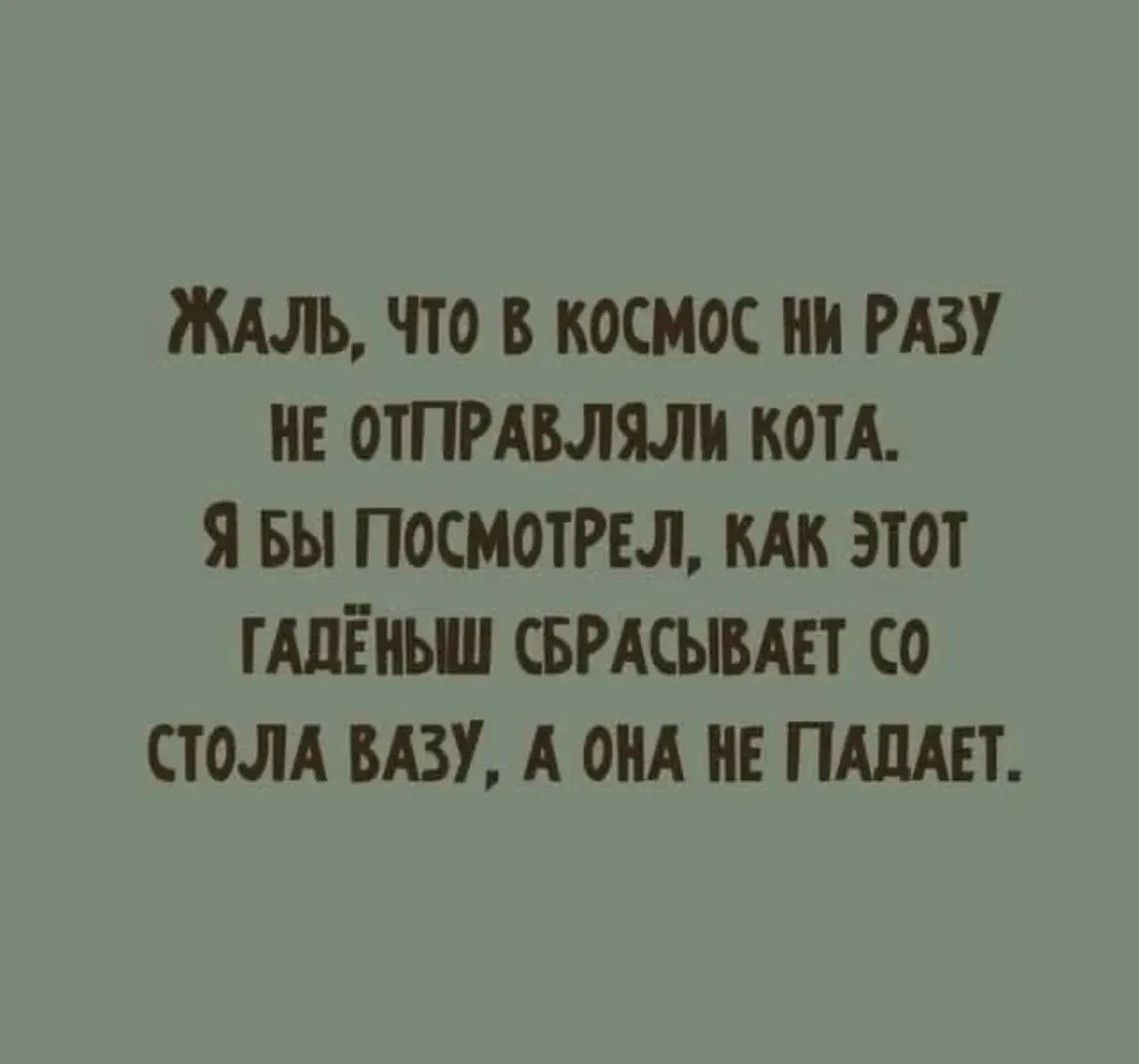 ЖАЛЬ, ЧТО В КОСМОС НИ РАЗУ НЕ ОТПРАВЛЯЛИ КОТА. Я БЫ ПОСМОТРЕЛ, КАК ЭТОТ ГАДЁНЫШ СБРАСЫВАЕТ СО СТОЛА ВАЗУ, А ОНА НЕ ПАДАЕТ.