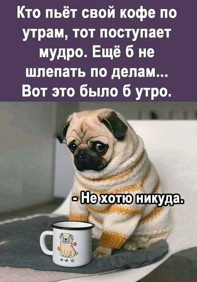 Кто пьёт свой кофе по утрам тот поступает мудро Ещё б не шлепать по делам Вот это было б утро