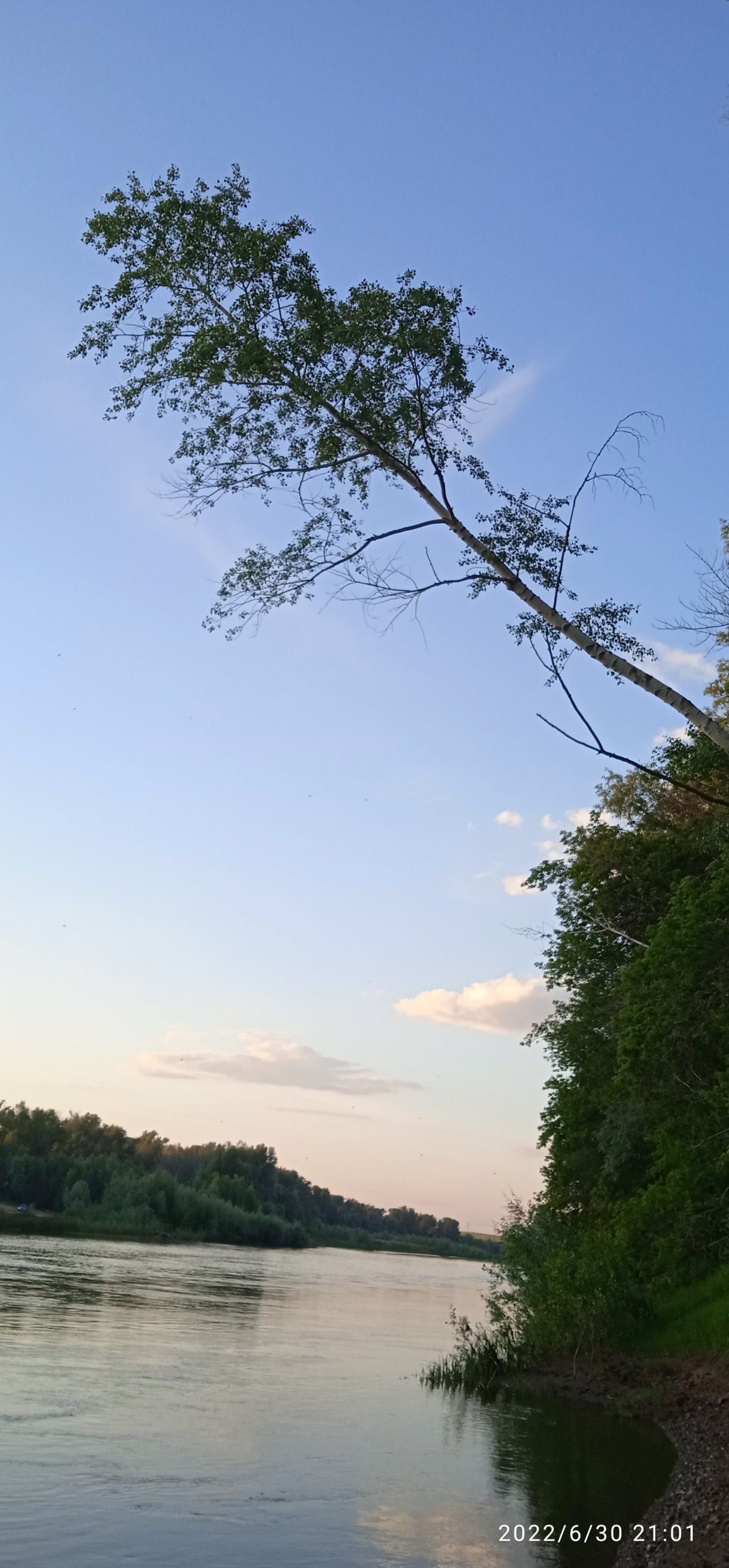 22630 2101
