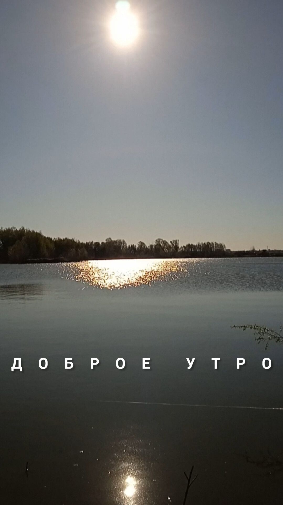 ДОБРОЕ УТРО