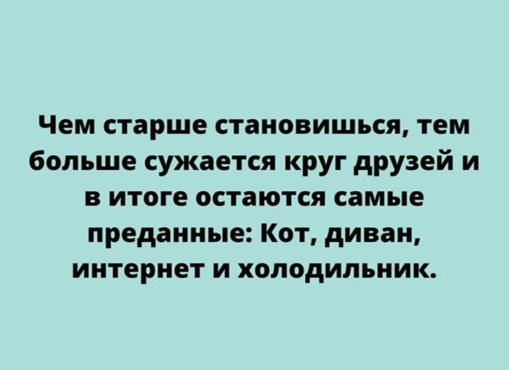 Чем старше становишься тем больше сужается круг друзей и в итоге остаются самые преданные Кот диван интернет и холодильник