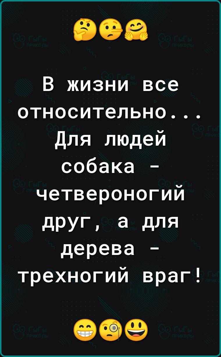 В жизни все относительно Для людей собака четвероногий дРУГ а для дерева трехногий враг 009