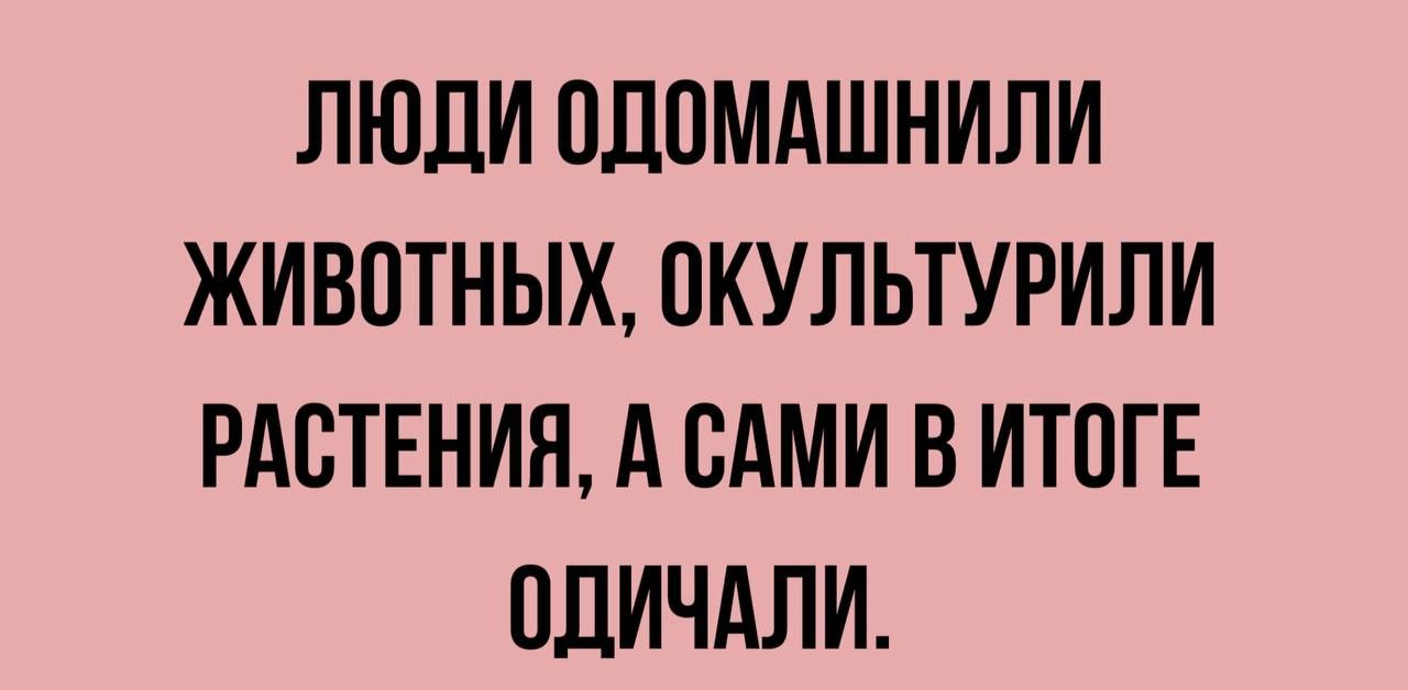 ЛЮДИ ПДПМАШНИЛИ ЖИВПТНЫХ ПКУЛЬТУРИЛИ РАСТЕНИЯ А САМИ В ИТПГЕ ОЛИЧАЛИ