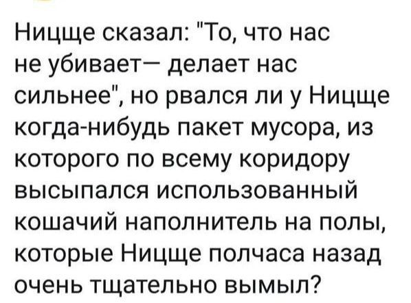 Ницще сказал То что нас не убивает делает нас сильнее но рвался ли у Ницще когда нибудь пакет мусора из которого по всему коридору высыпапся использованный кошачий наполнитель на полы которые Ницще полчаса назад очень тщательно вымыл