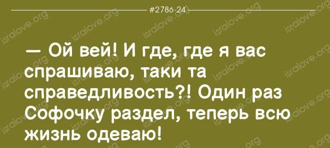 _ твц мг Ой вей и где где я вас спрашиваю таки та справедливость Один раз Софочку раздел теперь всю жизнь одеваю