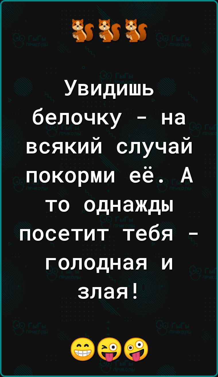 383 Увидишь белочку на всякий случай покорми её А то однажды посетит тебя голодная и злая ОФФ