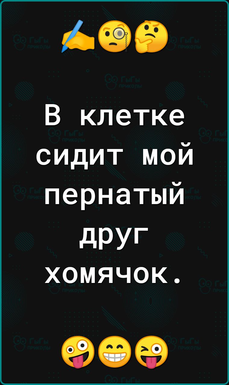 АЭВ В клетке сидит мой пернатый дРУг хомячок 90