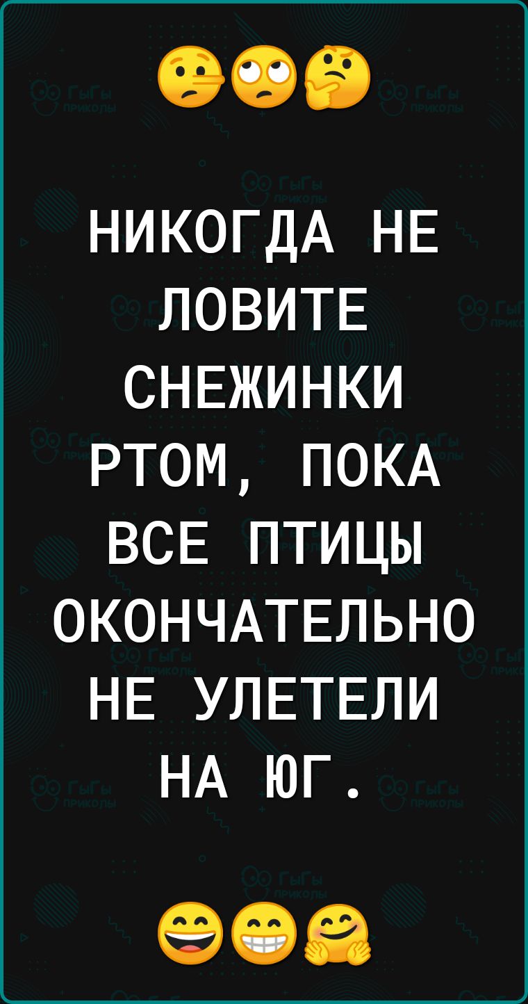 НИКОГДА НЕ ЛОВИТЕ СНЕЖИНКИ РТОМ ПОКА ВСЕ ПТИЦЫ ОКОНЧАТЕЛЬНО НЕ УЛЕТЕЛИ НА ЮГ 908