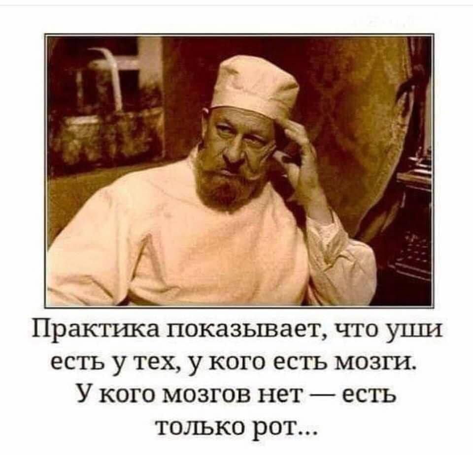 Практика показывает что уши есть у тех у кого есть мозги У кого мозгов нет есть только рот