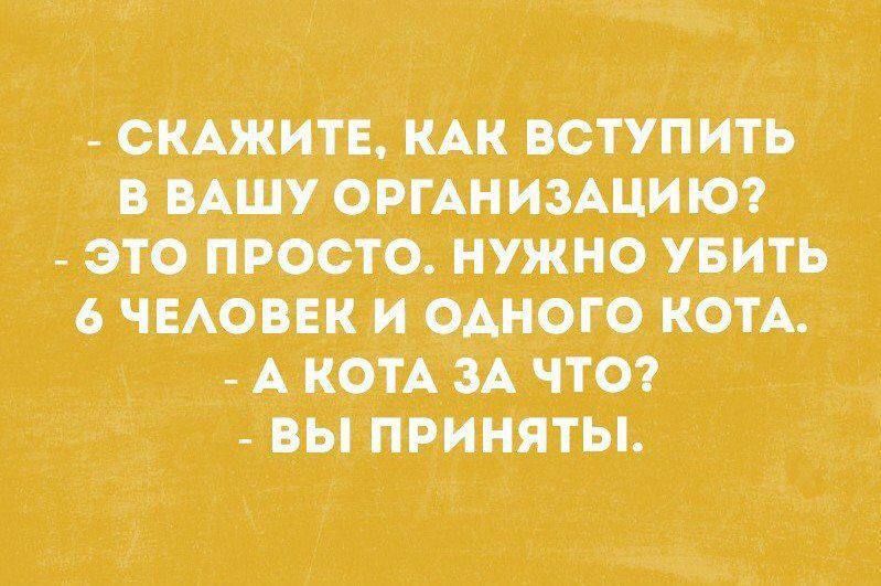 сКАжитв кАк вступить в ищу ОРГАНИЗАЦИЮ _ это просто нужно пить чмопк и _ОАирго котА _ А кот_А зА чтот _ вы приняты