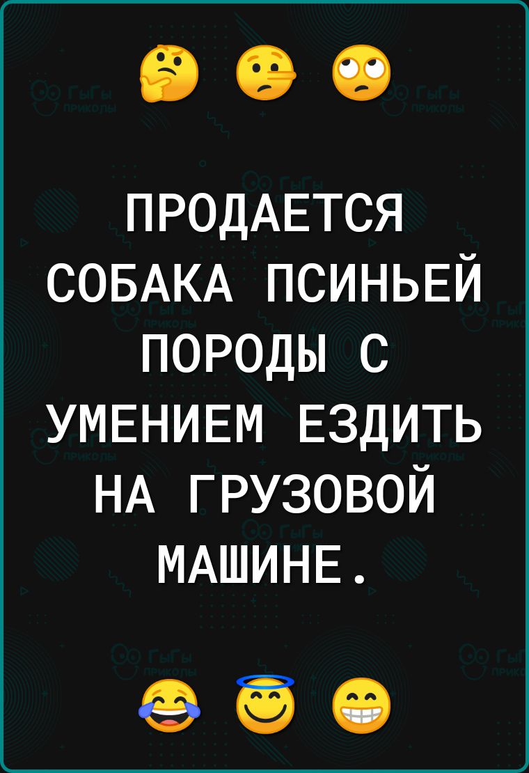 ПРОДАЕТСЯ СОБАКА ПСИНЬЕЙ породы с УМЕНИЕМ ЕЗДИТЬ НА грузовой МАШИНЕ ФЭО