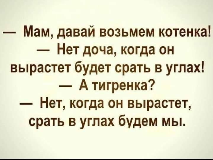 Мам давай возьмем котенка Нет доча когда он вырастет будет срать в углах А тигренка Нет когда он вырастет срать в углах будем мы