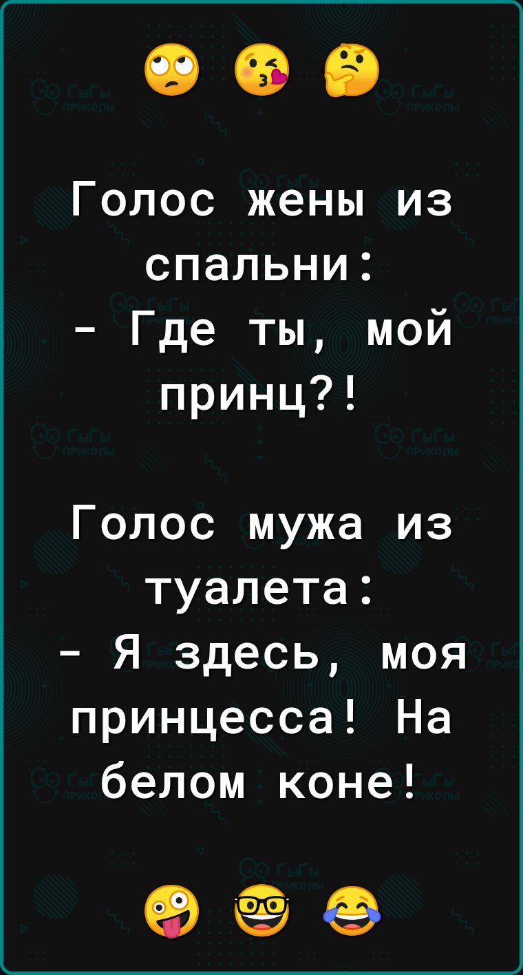 Голос жены из спальни Где ты мой принц Голос мужа из туалета Я здесь моя принцесса На белом коне