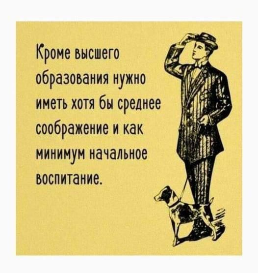 Кроме высшего образования нужно иметь хотя бы среднее соображение и как МИНИМУМ начальное воспитание