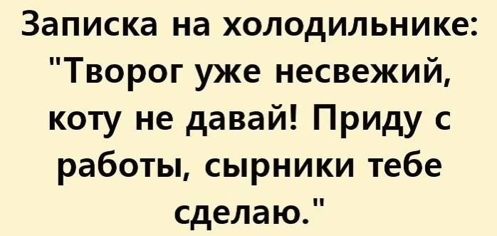 Записка на холодильнике Творог уже несвежий коту не давай Приду с работы сырники тебе сделаю