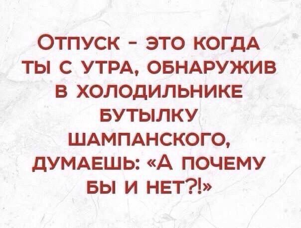 ОТПУСК ЭТО КОГДА ТЫ С УТРА ОБНАРУЖИВ В ХОЛОДИЛЬНИКЕ БУТЫЛКУ ШАМПАНСКОГО дУМАЕШЬ А ПОЧЕМУ БЫ И НЕТ