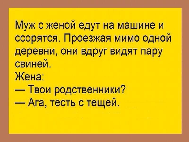 Муж женой едут на машине и ссорятся Проезжая мимо одной деревни они вдруг видят пару свиней Жена Твои родственники Ага тесть с тещей