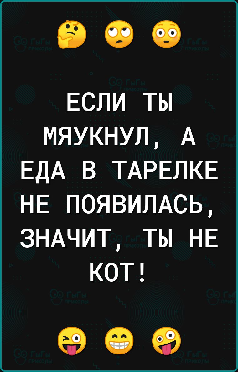 ЕСЛИ ТЫ МЯУКНУЛ А ЕДА В ТАРЕЛКЕ НЕ ПОЯВИЛАСЬ ЗНАЧИТ ТЫ НЕ КОТ 09