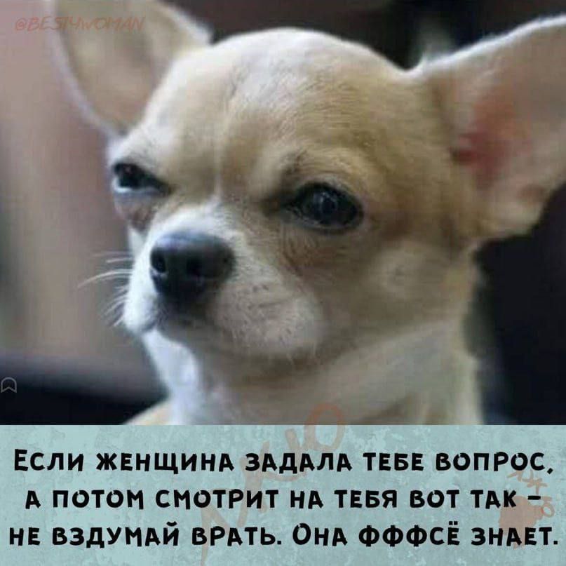 Если жвнщинд зддмд тввв вопрос А потом смотрит на тввя вот ТАк нв вздундй вить анд ФФФСЁ зндвт