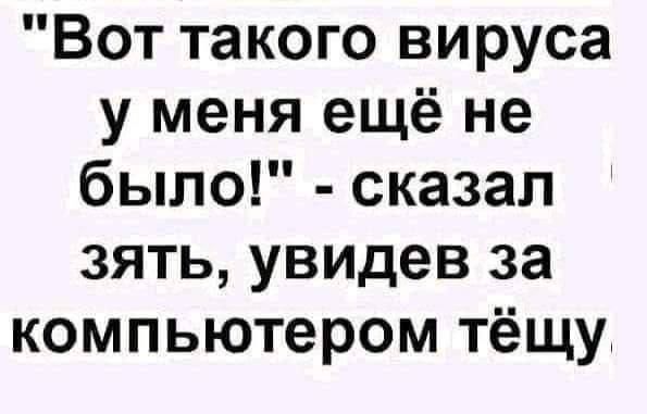 Вот такого вируса у меня ещё не было сказал зять увидев за компьютером тёщу