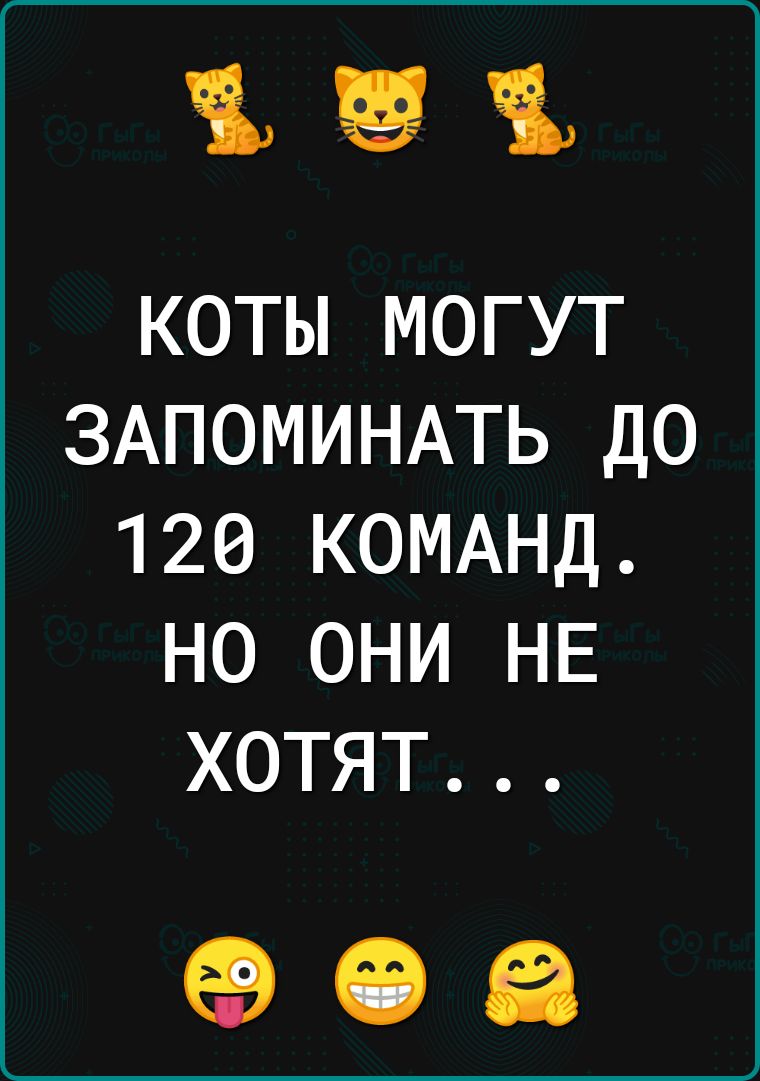 КОТЫ МОГУТ ЗАПОМИНАТЬ ДО 120 КОМАНД НО ОНИ НЕ ХОТЯТ 908