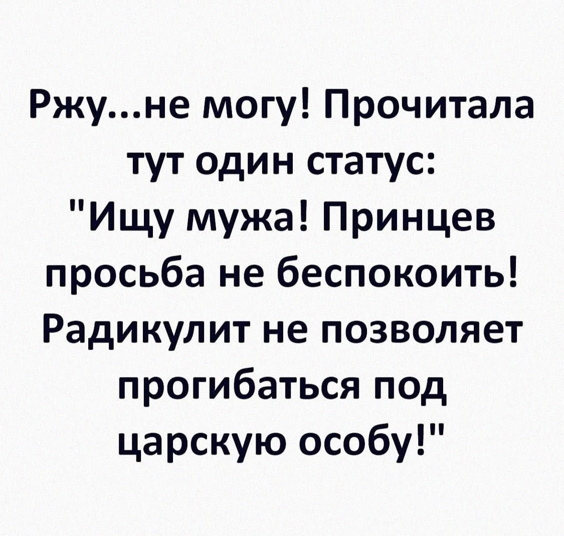 Ржуне могу Прочитала тут один статус Ищу мужа Принцев просьба не беспокоить Радикулит не позволяет прогибаться под царскую особу